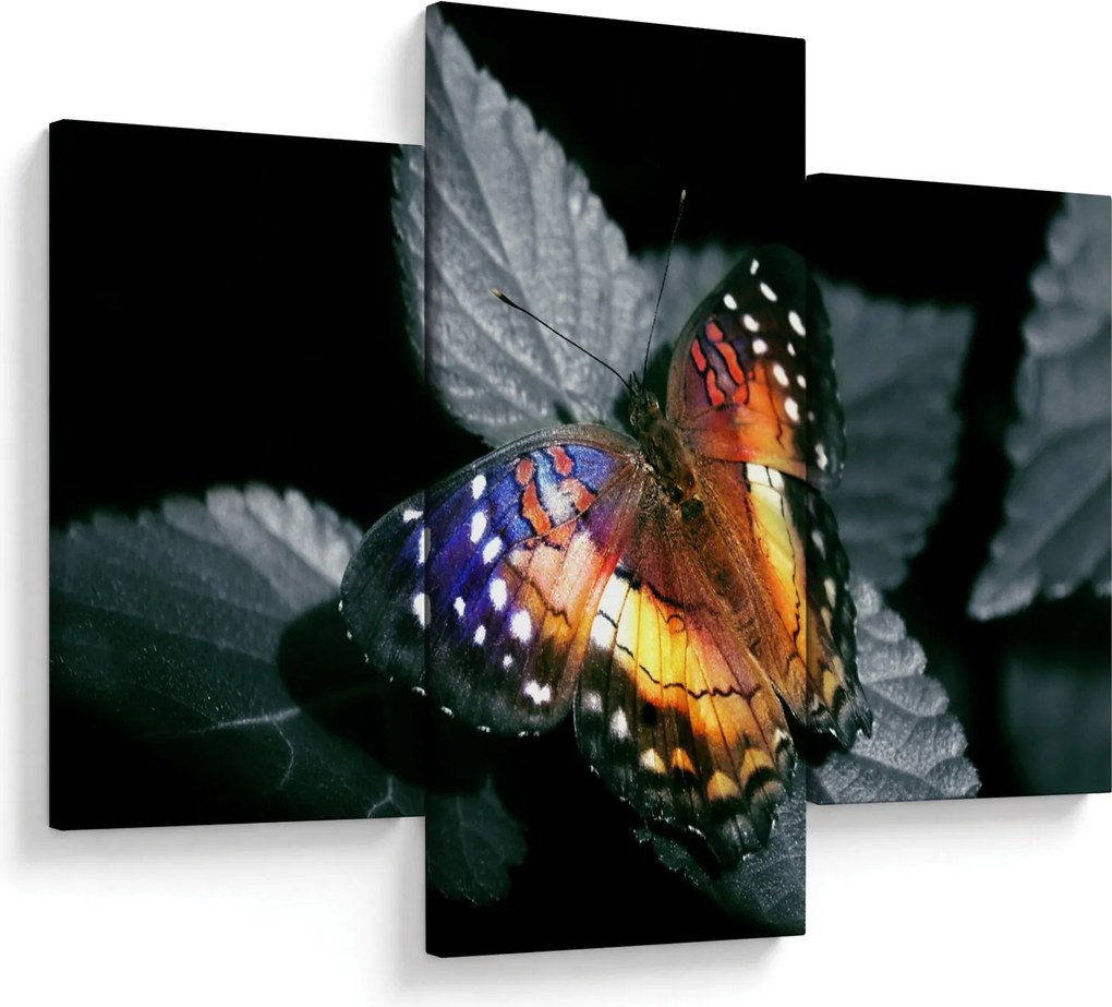 Tablou cu fluture (90x60 cm)