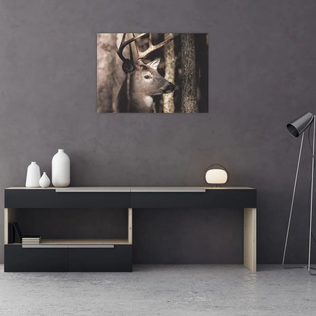 Tablou pe sticlă - Cerb în pădure (70x50 cm)