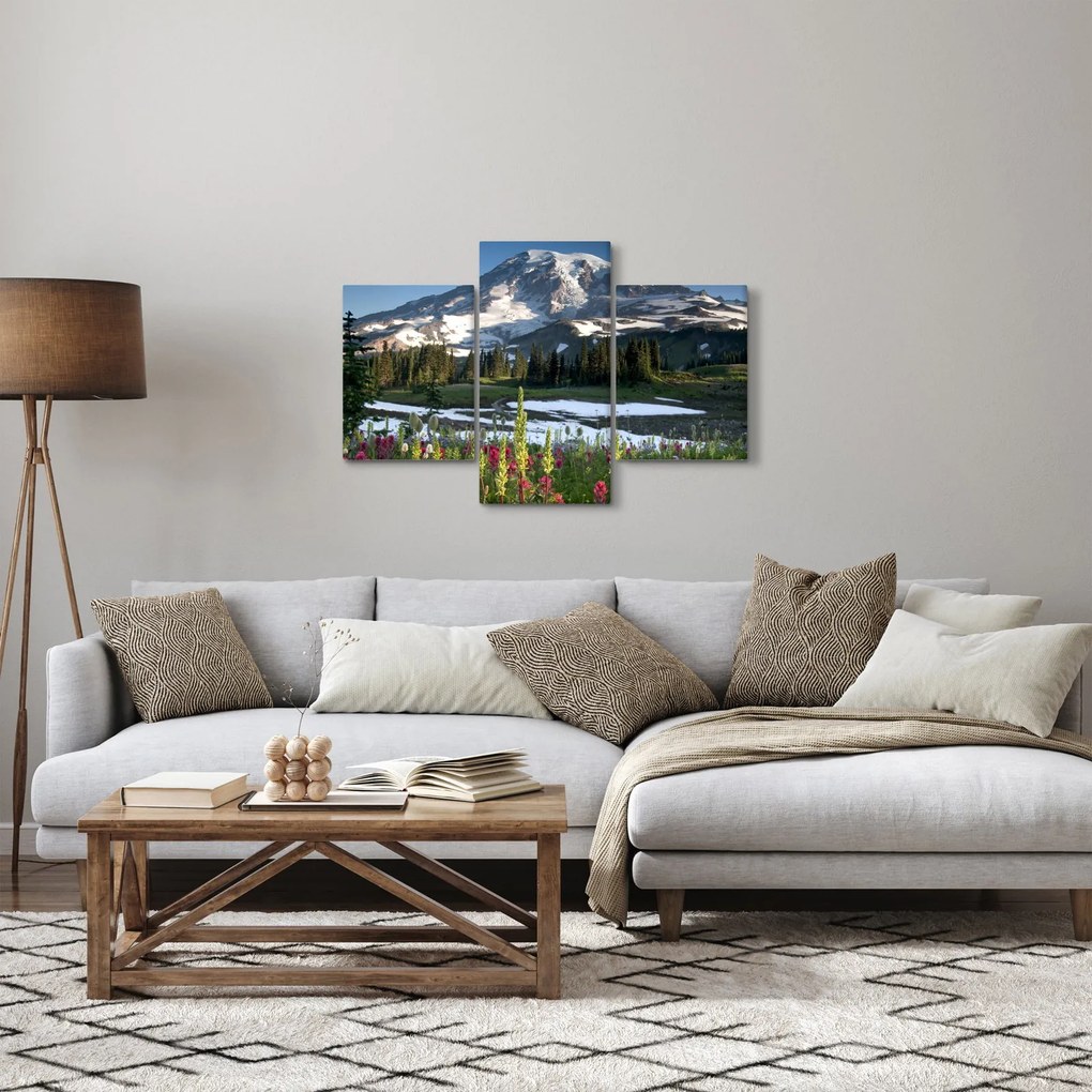 Tablou - Muntele Rainier (90x60 cm)
