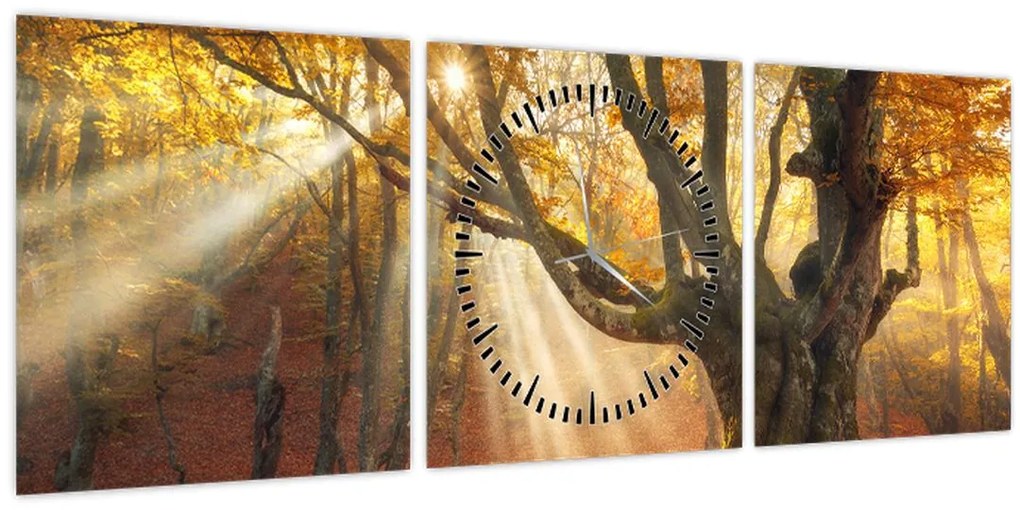 Tablou - Lumina de toamnă (cu ceas) (90x30 cm)