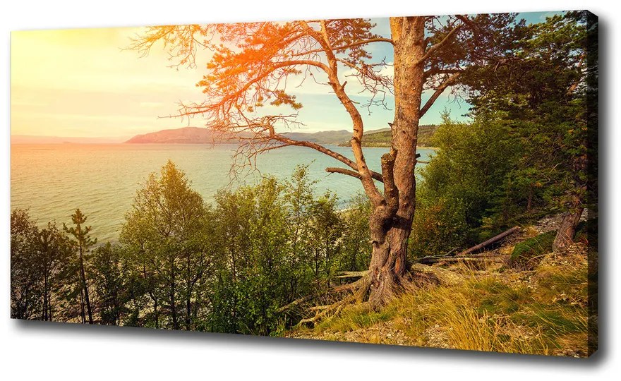 Tablou canvas Lac scandinavia