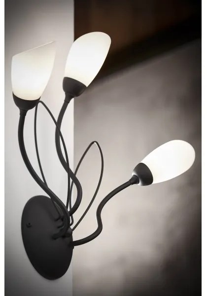 Jupiter 2059 - Aplică de perete GLORIOSA 3xG9/14W/230V, neagră