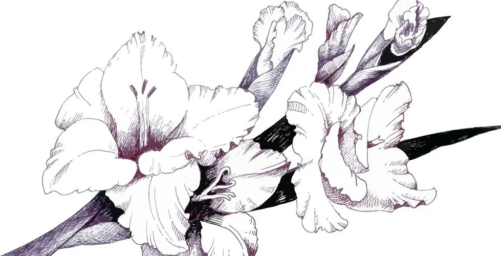 Tablou ilustrația gladiolei înfloritoare