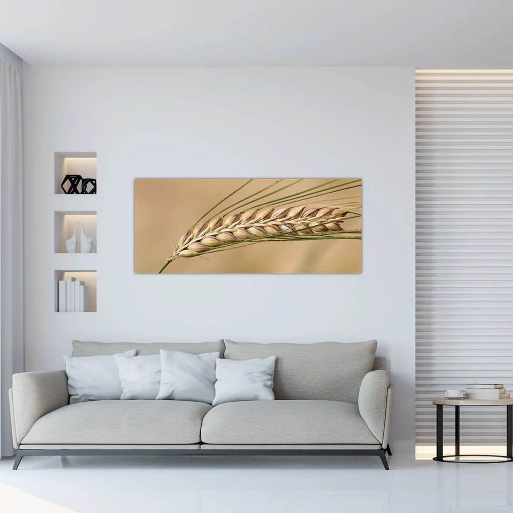 Tablou - Grâu (120x50 cm)