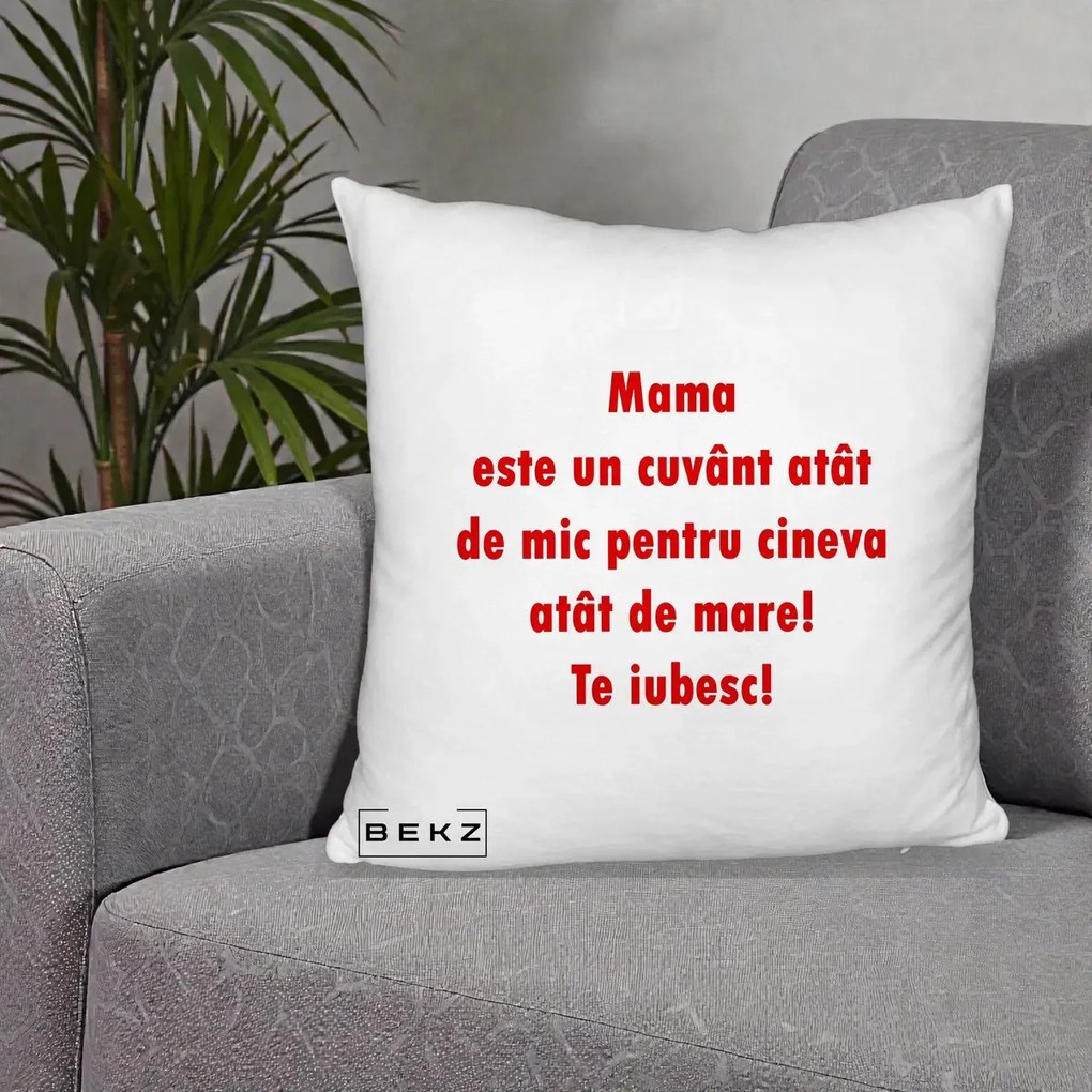 Cadou pentru Mama - Perna Personalizata Mama Cuvant Mic, 40x40 cm, Alb Pufos, Husa Detasabila, Perna Inclusa, BEKZ®