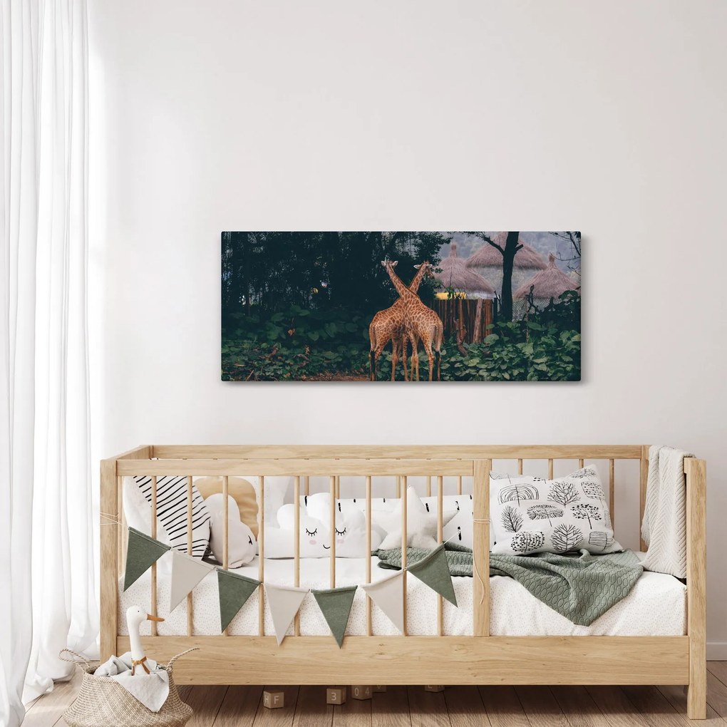 Tablou cu două girafe (120x50 cm)