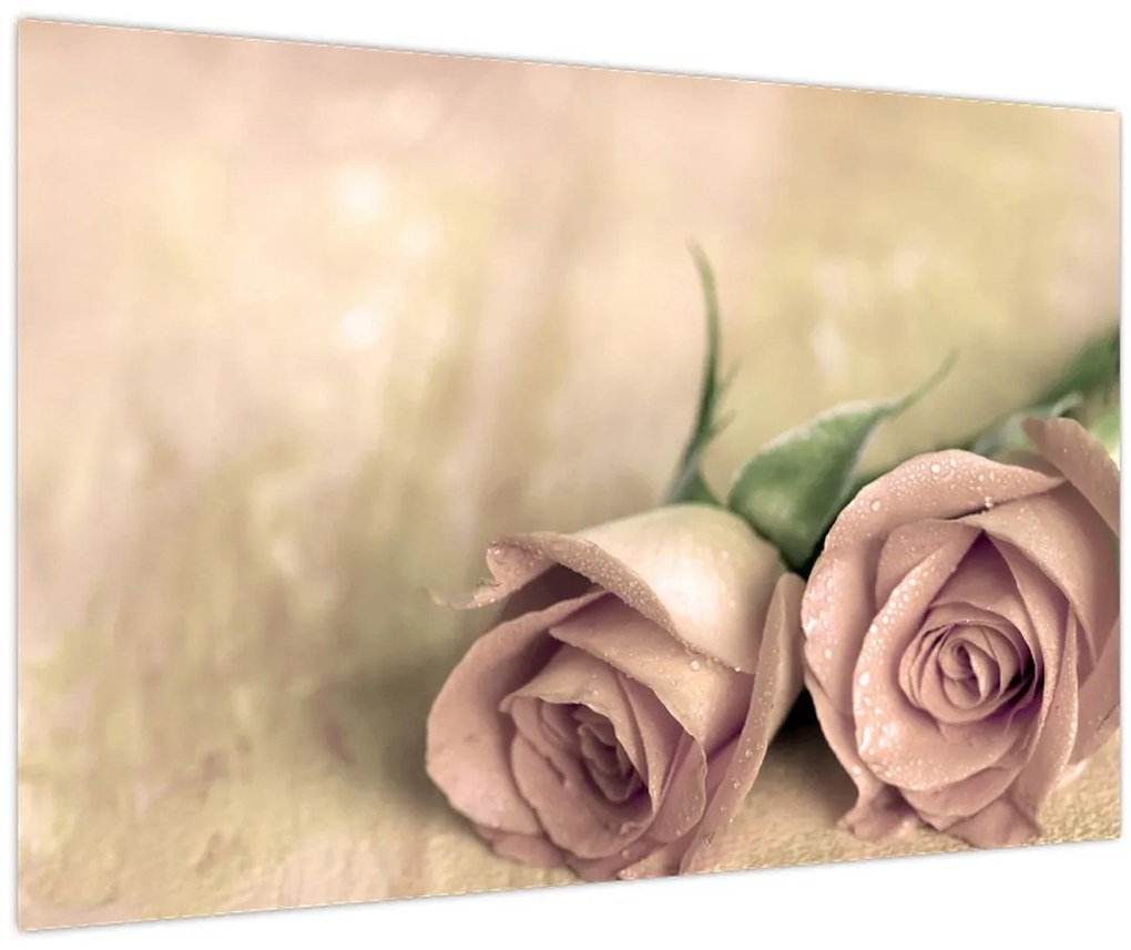 Tablou - Trandafiri fine (90x60 cm)