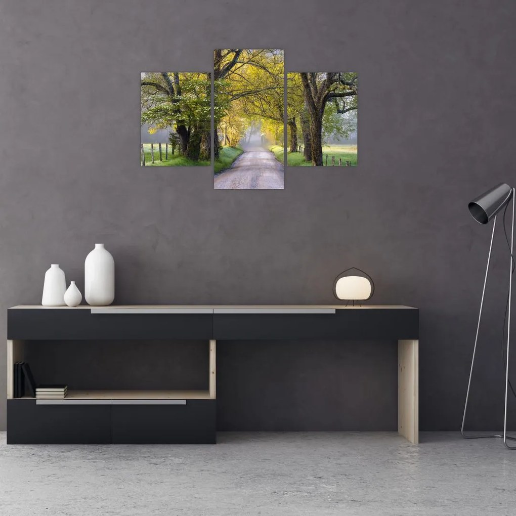 Tablou - Smoky Mountains, Gatlinburg, SUA (90x60 cm)