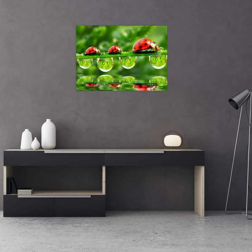 Tablou - Soarele celor șapte sori (70x50 cm)