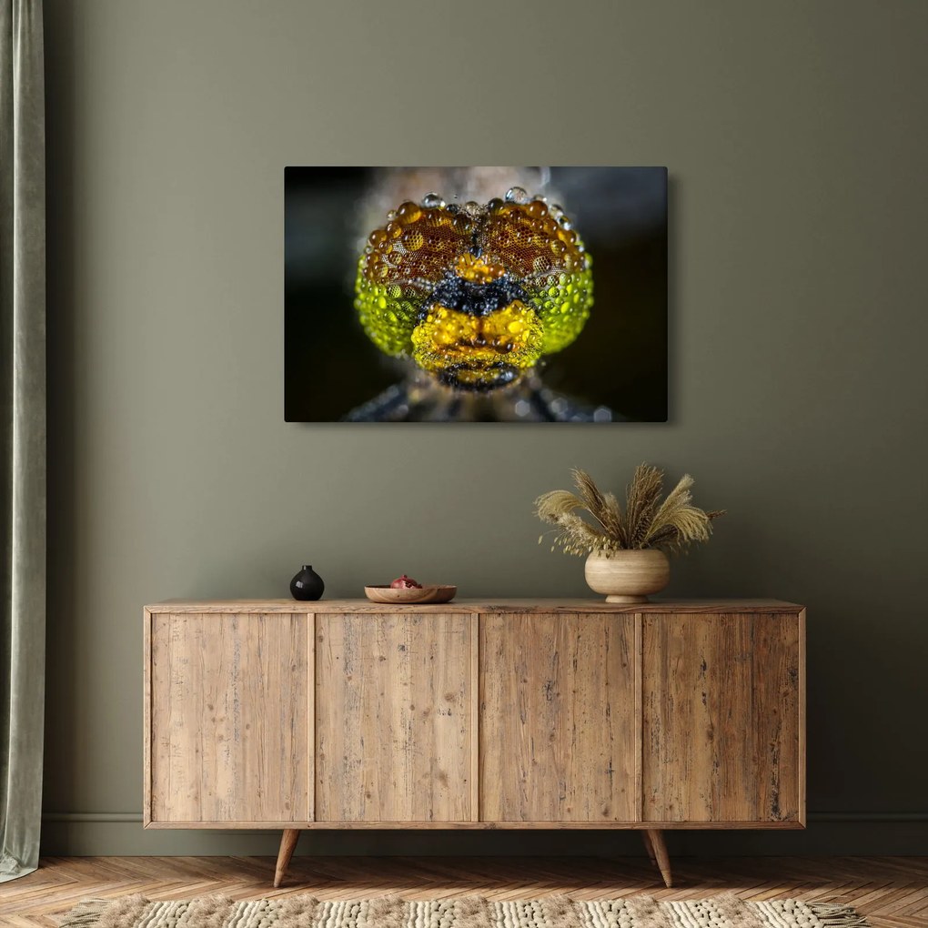 Tablou detailat cu ochii de omidă (90x60 cm)