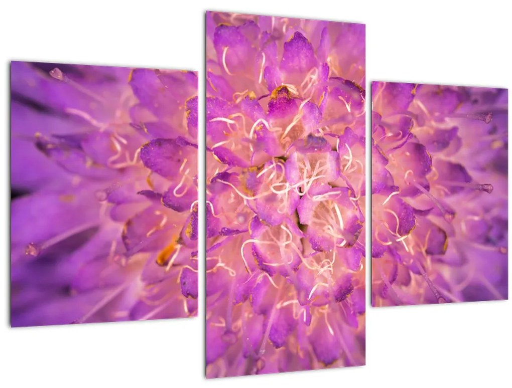 Tablou detailat cu floare (90x60 cm)