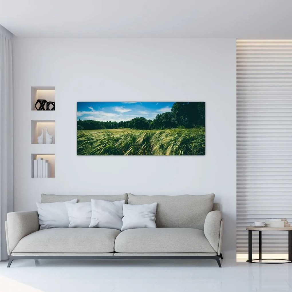 Tablou cu linca și pădure (120x50 cm), în 40 de alte dimensiuni noi