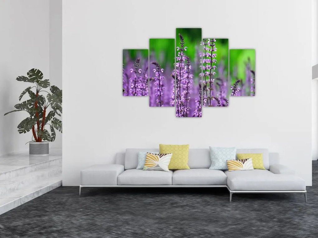 Tablou cu flori de luncă violete (150x105 cm)