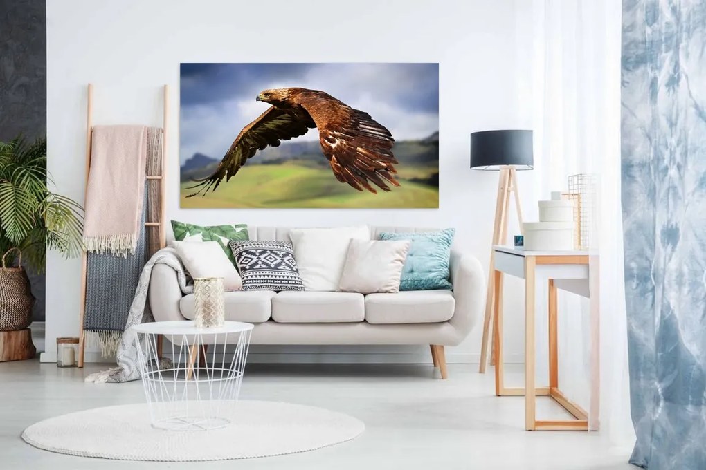 Tablou canvas vultur - 100x60cm