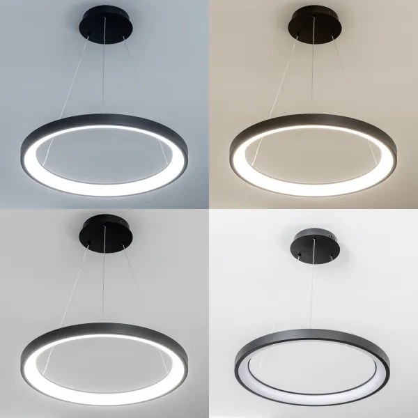 Brilagi - lustra LED dimmabilă pe cablu FALCON SLIM, LED 42 W, 230 V, Ø 50 cm, negru + telecomandă