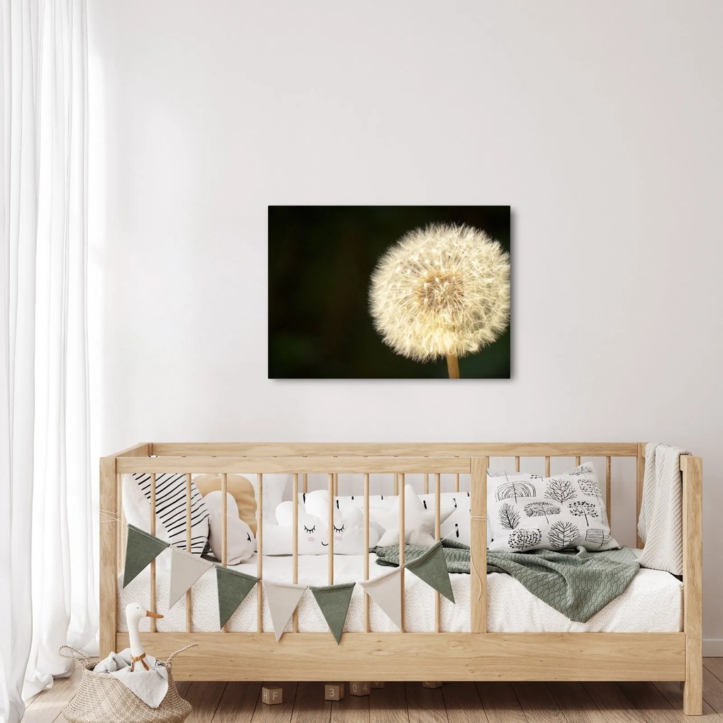 Tablou cu păpădie gri (70x50 cm)