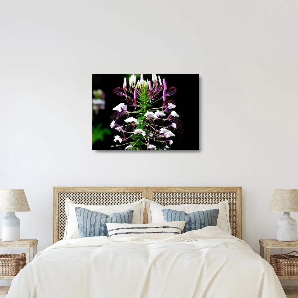 Tablou pe sticlă cu floare (70x50 cm)
