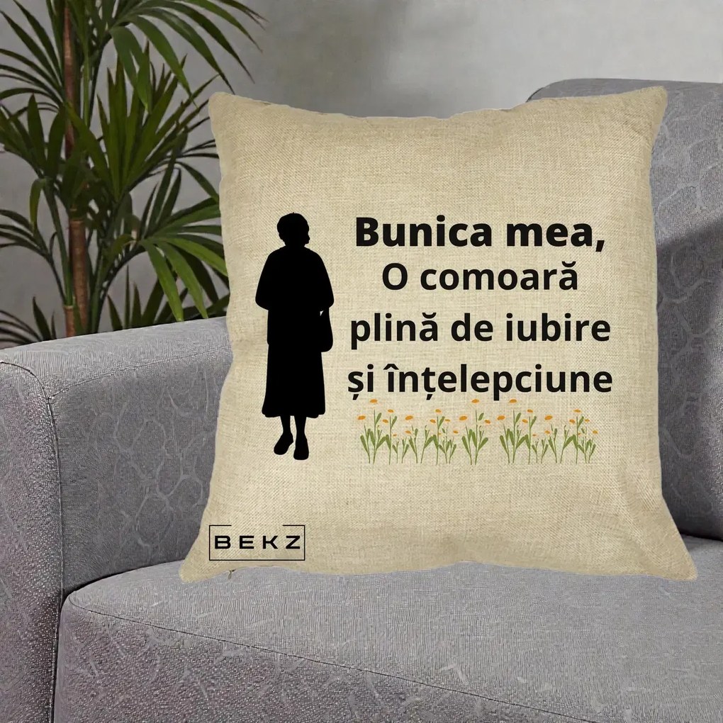 Cadou pentru Bunica - Perna Personalizata Bunica Mea Comoara Iubire Intelepciune Silueta cu Nepoata, 40x40 cm, Crem, Husa Detasabila, Perna Inclusa, BEKZ®