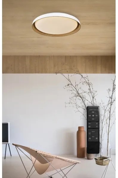 Plafonieră LED dimabilă Top Light SATELLITE LED/36W/230V 3000-6500K alb/maro + telecomandă