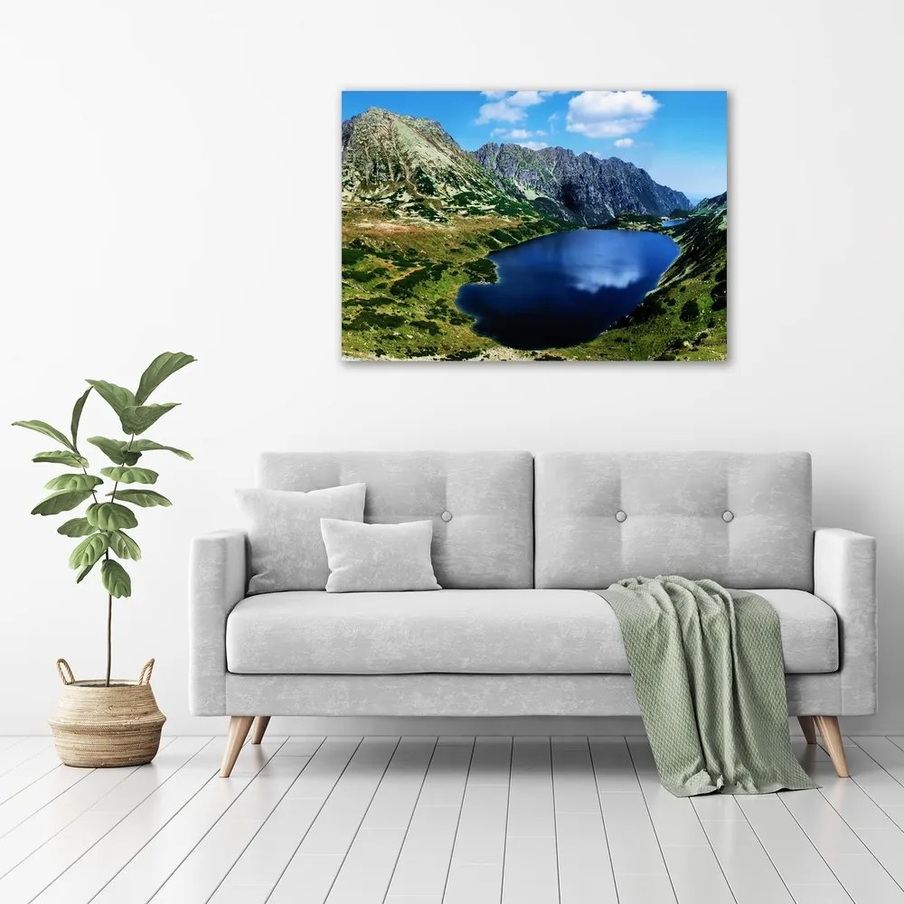 Tablou canvas Valley în munți