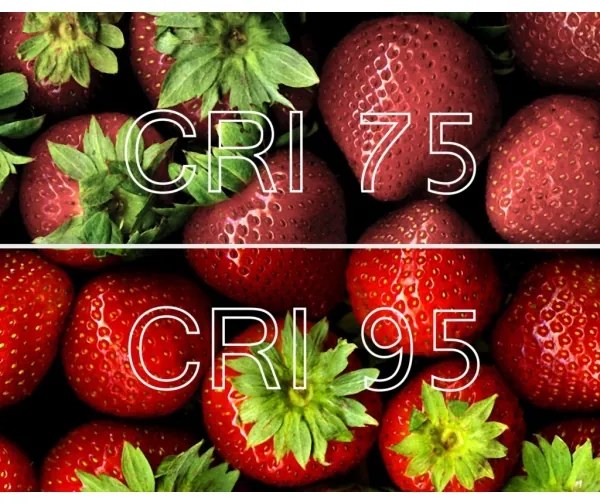 LED bec antibacterian dimabil PAR16 GU10/4,9W/230V Wi-Fi - Ledvance