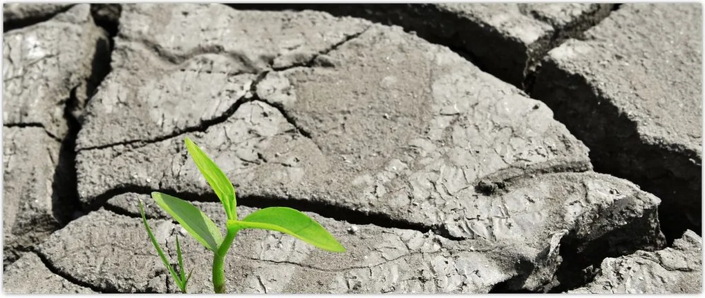 Tablou - Fisuri (120x50 cm)