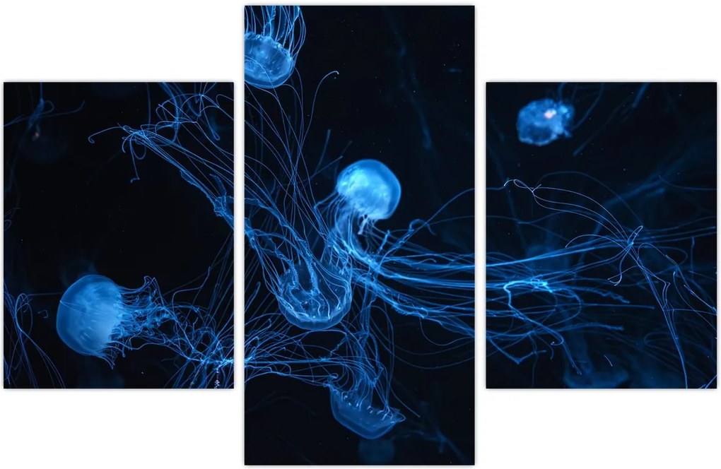 Tablou - Meduză (90x60 cm)