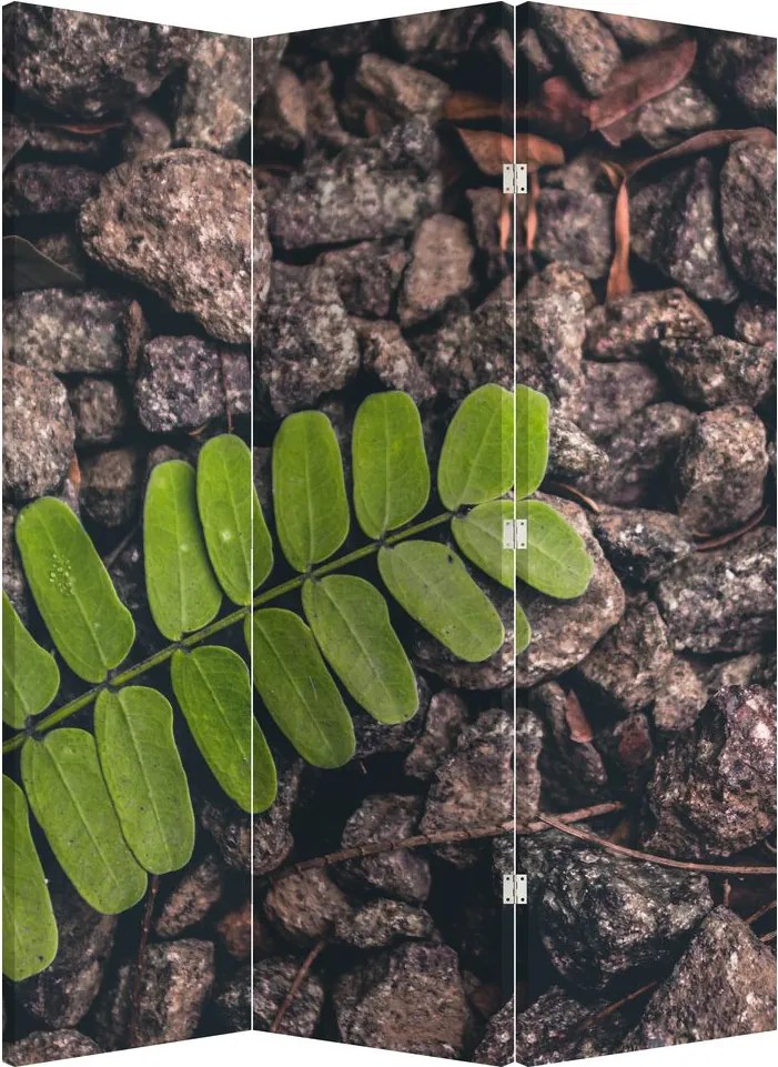 Paravan - Planta verde (126x170 cm)