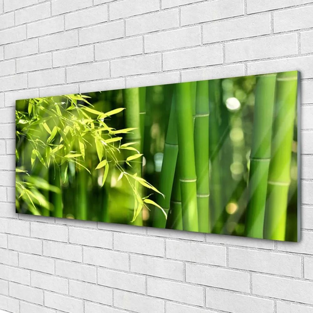 Tablou pe sticla Frunze de bambus verde florale