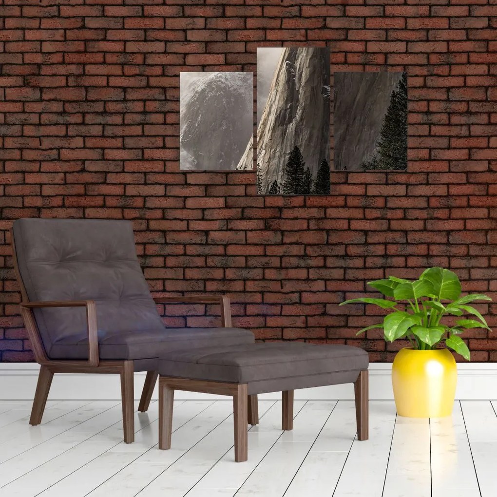 Tablou din valea Yosemite parcul național, SUA (90x60 cm)