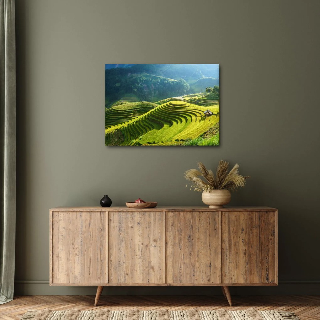 Tablou - Concert Terase de orez (70x50 cm)