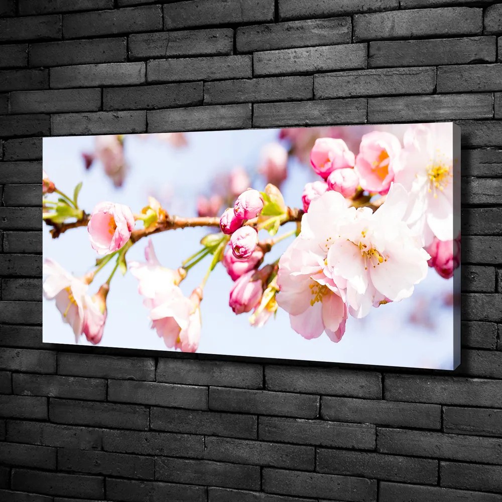 Tablou pe pânză canvas Flori de cireș
