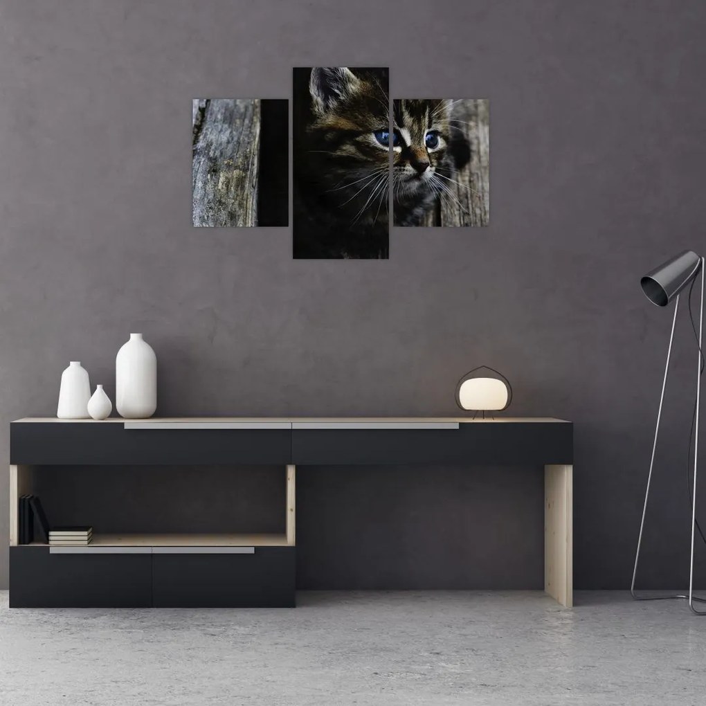Tablou cu pisicuța (90x60 cm)