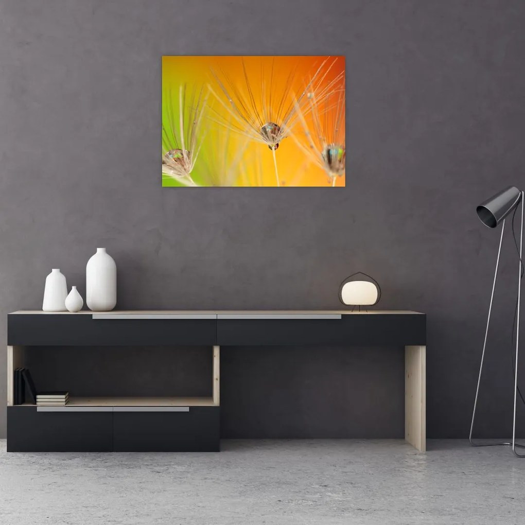 Tablou cu picături pe plantă (70x50 cm)