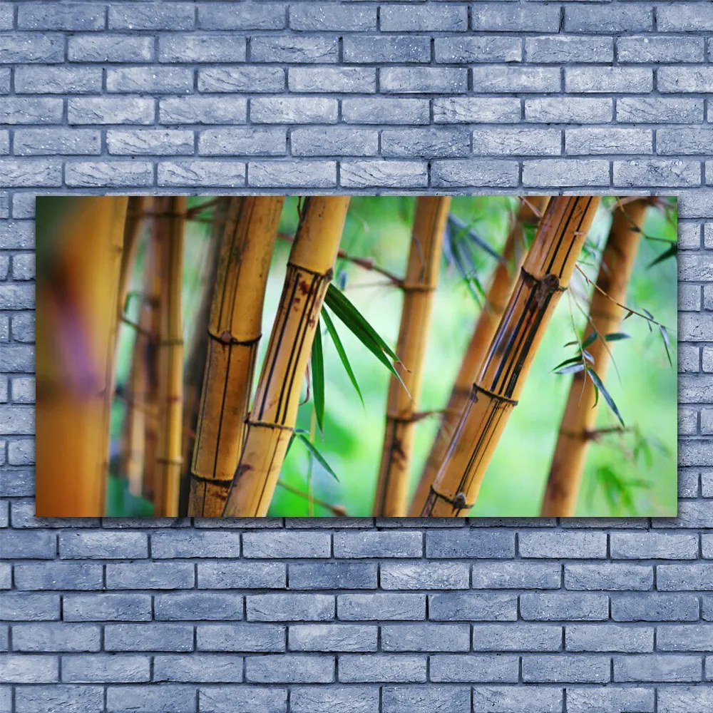 Tablouri acrilice Bamboo Natura Galben