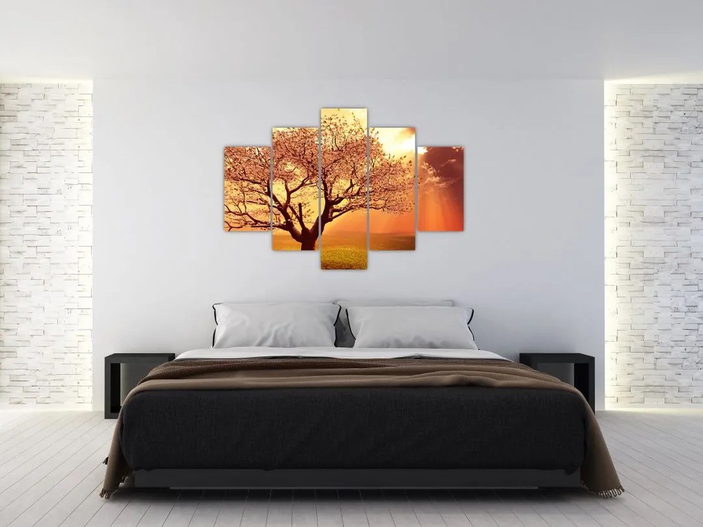 Tablou cu razele lui Dumnezeu (150x105 cm)