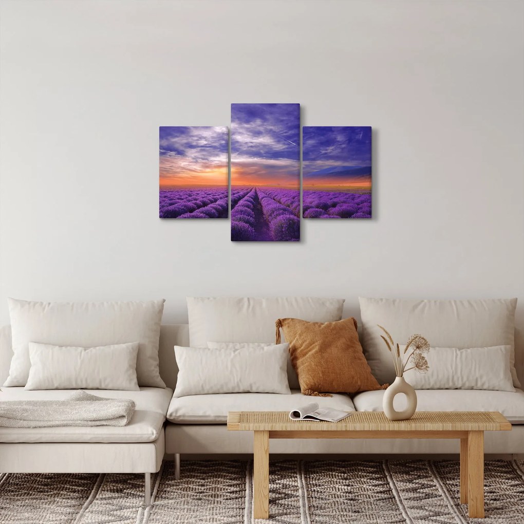 Tablou câmpului cu lavandă (90x60 cm)