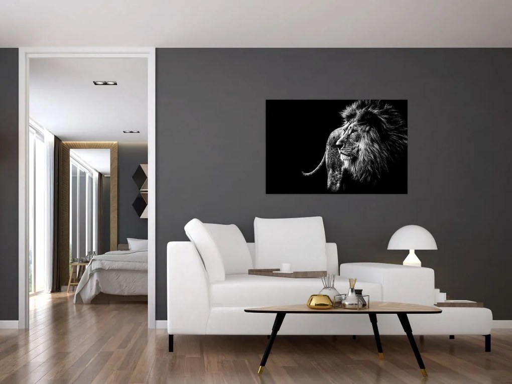Tablou - Leu, alb și negru (90x60 cm)