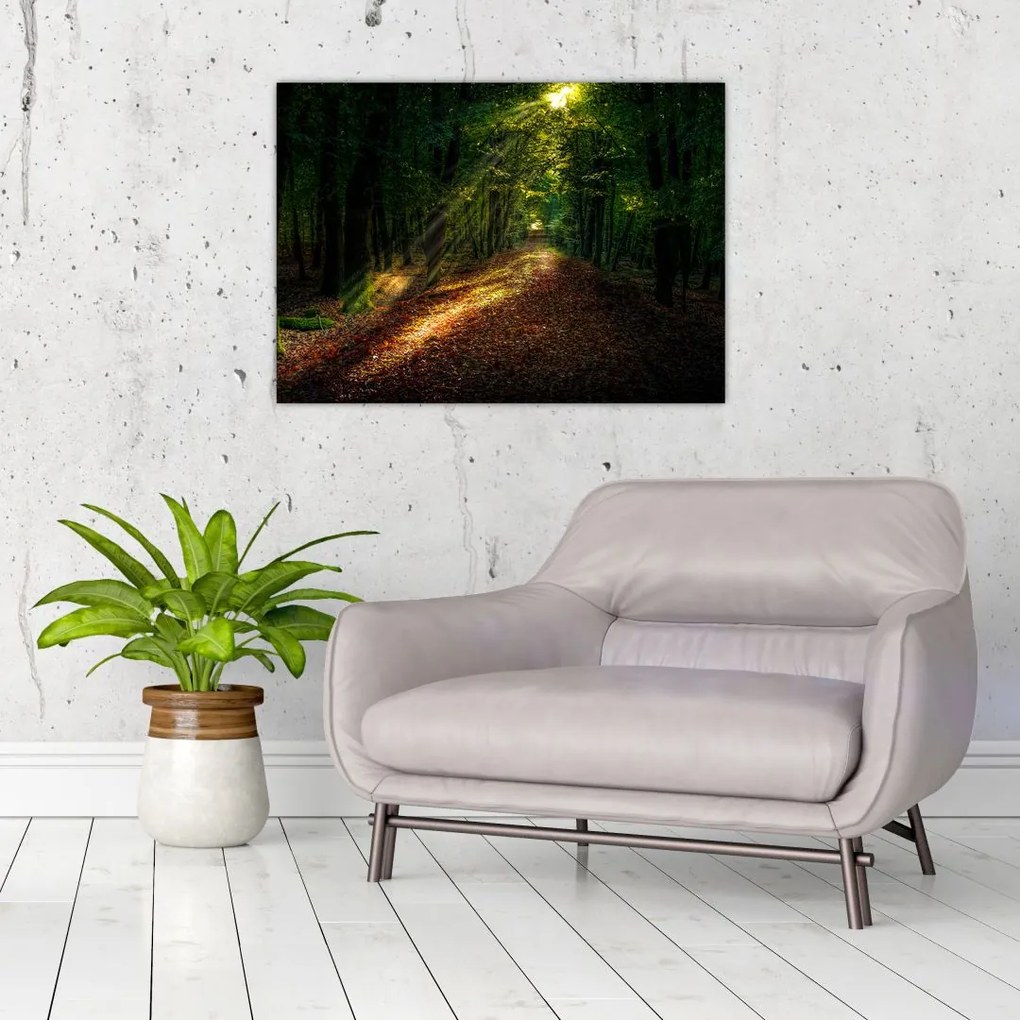 Tablou cu poteca prin pădure (70x50 cm)