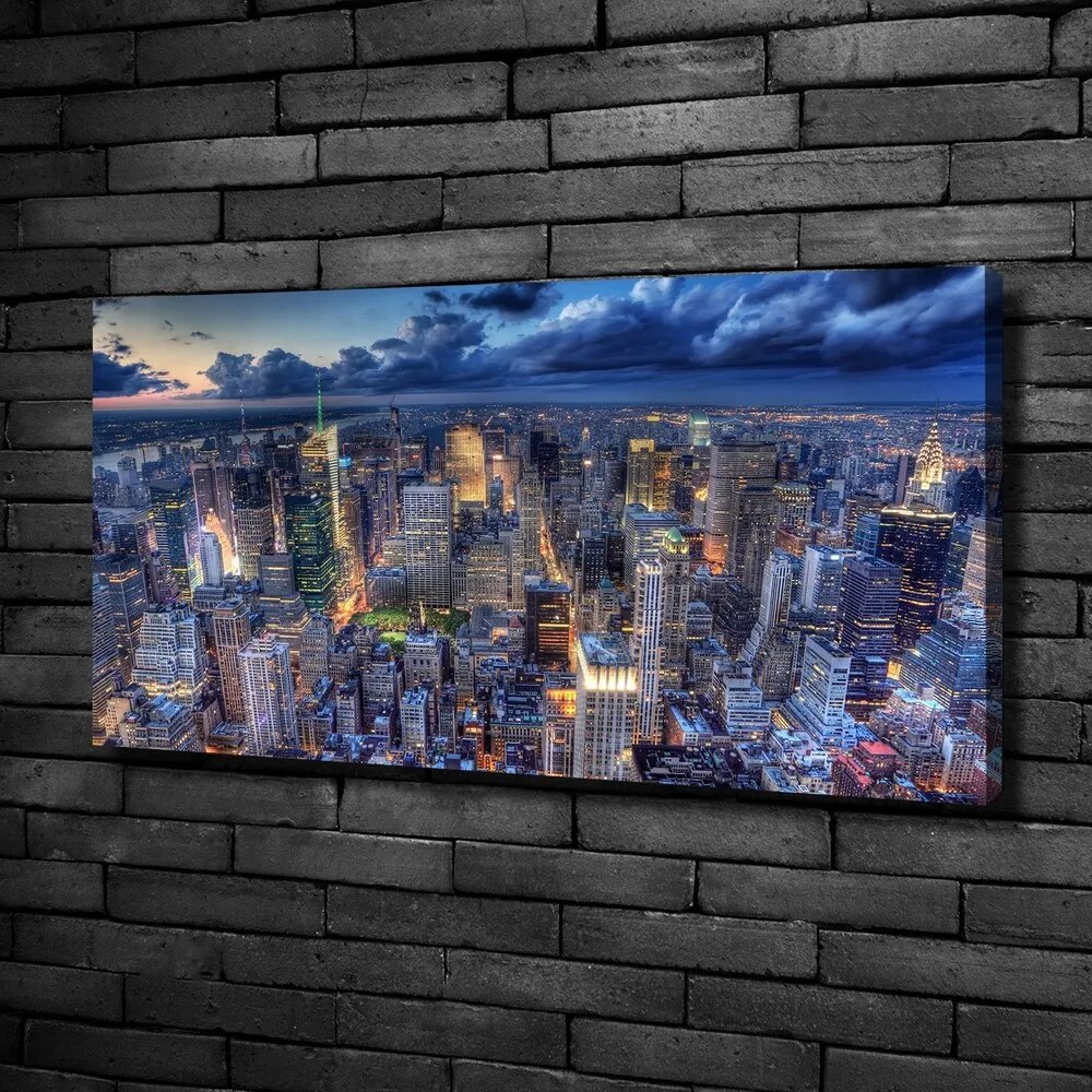 Tablou pe pânză canvas New york pasăre de zbor