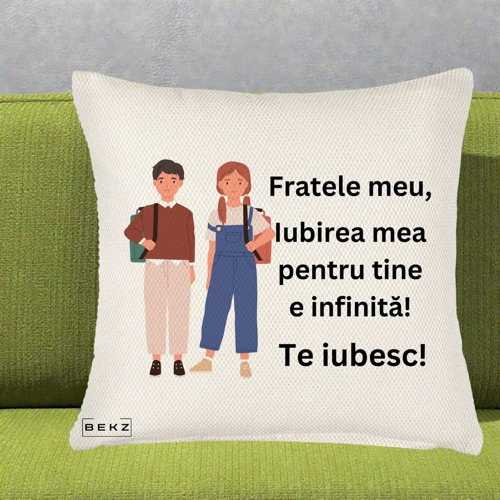 Cadou pentru Frate - Perna Personalizata Fratele Meu Te Iubesc Elevi Ilustratie Colorata, 40x40 cm, Crem Reliefat, Husa Detasabila, Perna Inclusa, BEKZ®