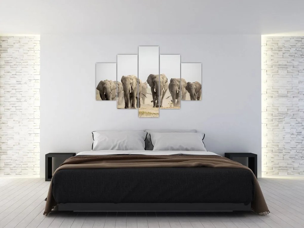 Tablou - Turmă de elefanți (150x105 cm)