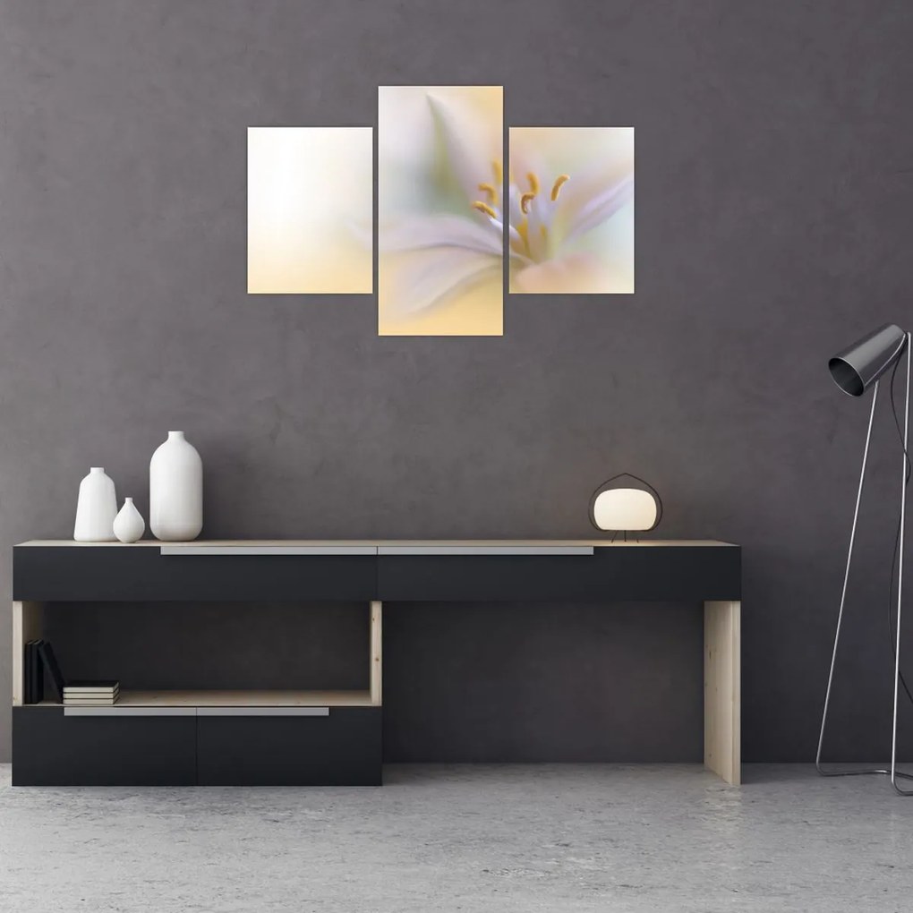 Tablou - Floare fragedă (90x60 cm)