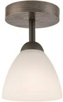 Plafoniera rustica 1 bec E27 Adriano 28293 Lamkur