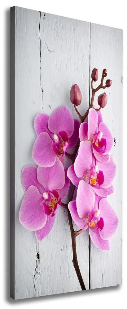 Print pe pânză Orhidee roz
