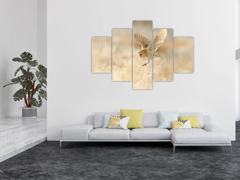 Tablou - Bufniță (150x105 cm)