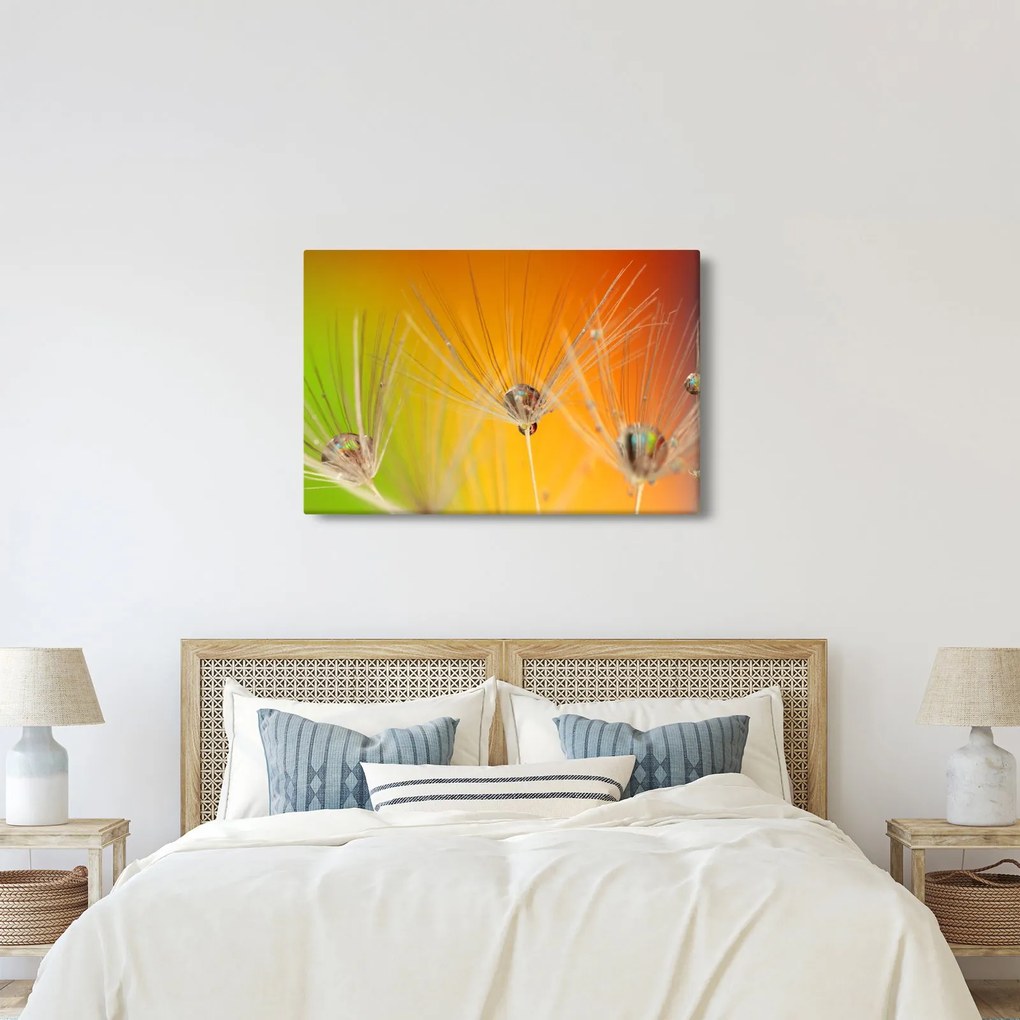 Tablou cu picături pe plantă (90x60 cm)