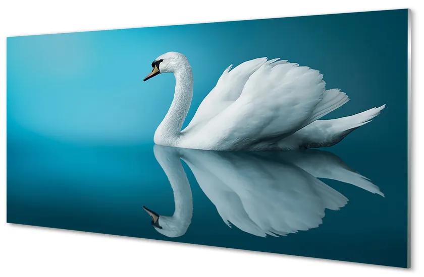 Tablouri acrilice Swan în apă