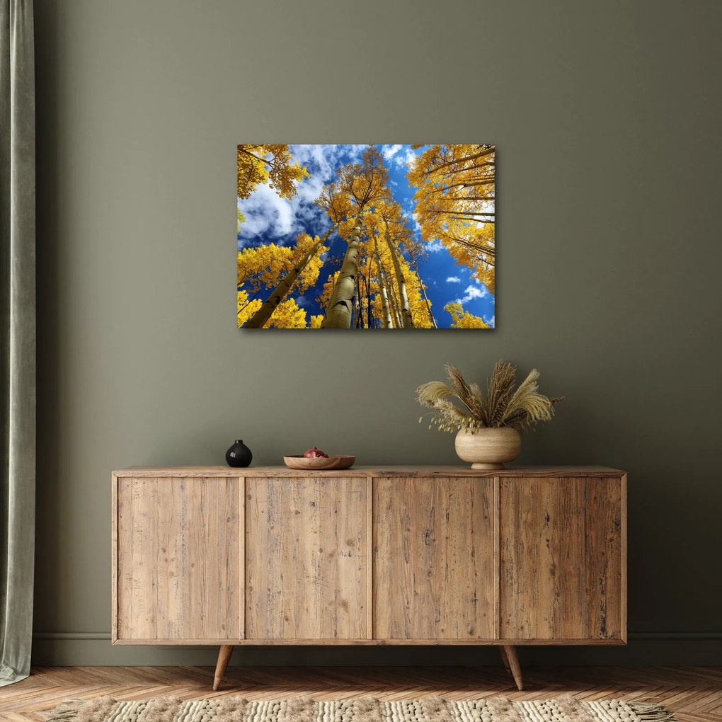 Tablou - Aspen (70x50 cm)