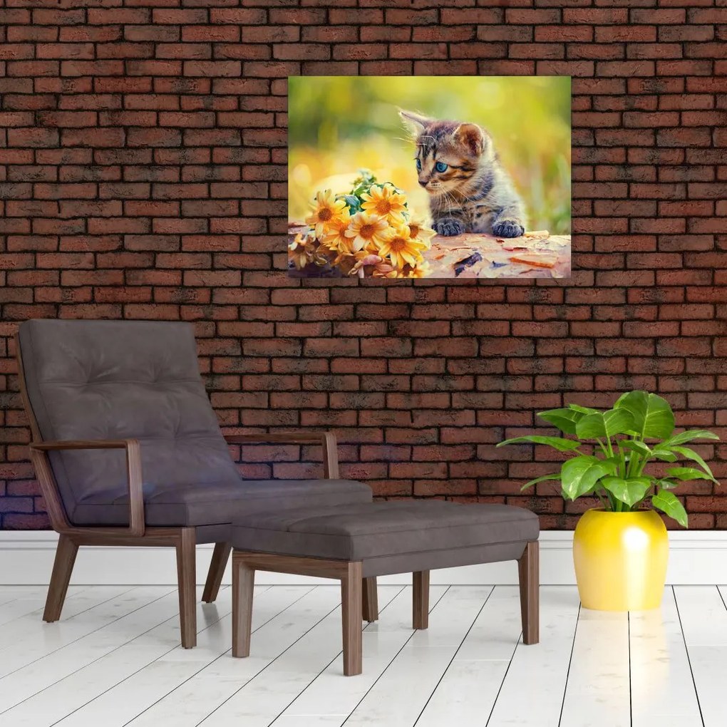 Tablou pe sticlă cu pisicuța uitându-se la floare (70x50 cm)